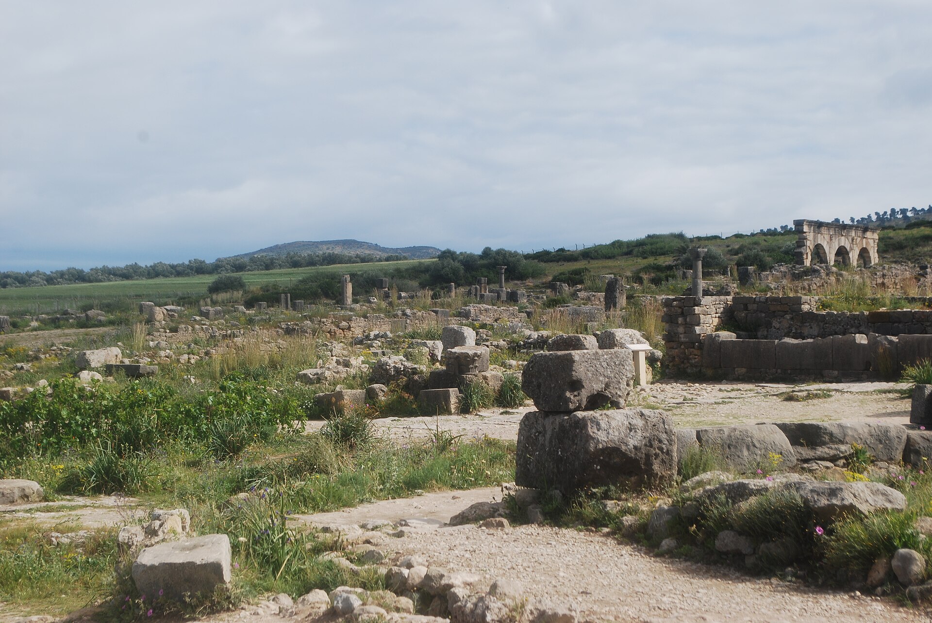 Ruinas de Volubilis cerca de Mequinez